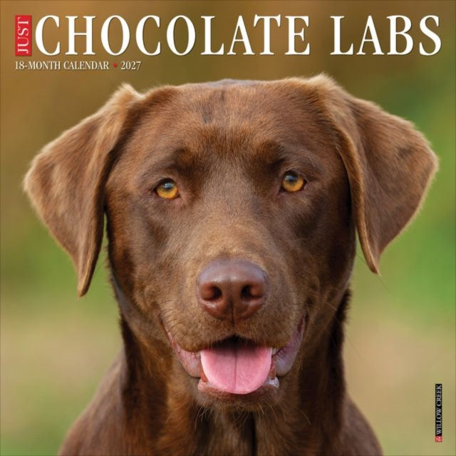 Chocolate Labs 2027 Wall cover