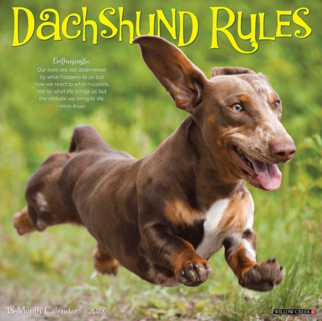 Dachshund Rules 2027 Wall cover
