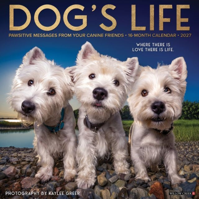 Dog's Life 2027 Wall cover