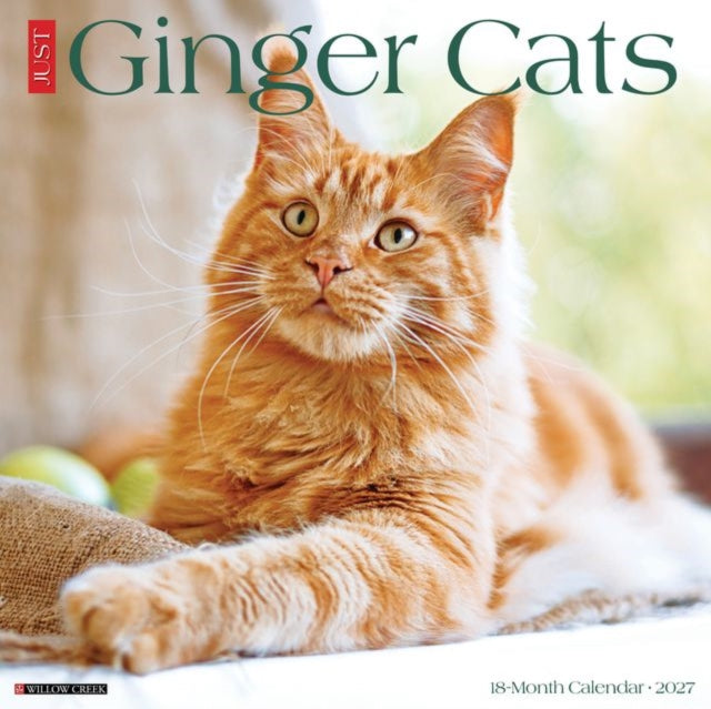Ginger Cats 2027 Wall cover