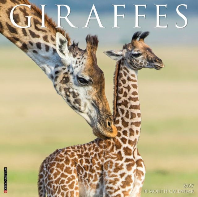 Giraffes 2027 Wall cover