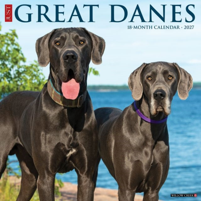 Great Danes 2027 Wall cover