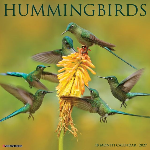 Hummingbirds 2027 Wall cover