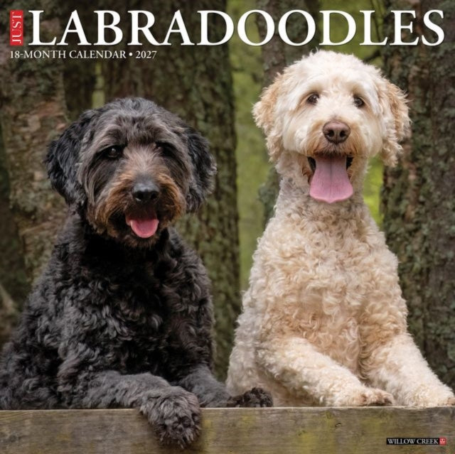 Labradoodles 2027 Wall cover