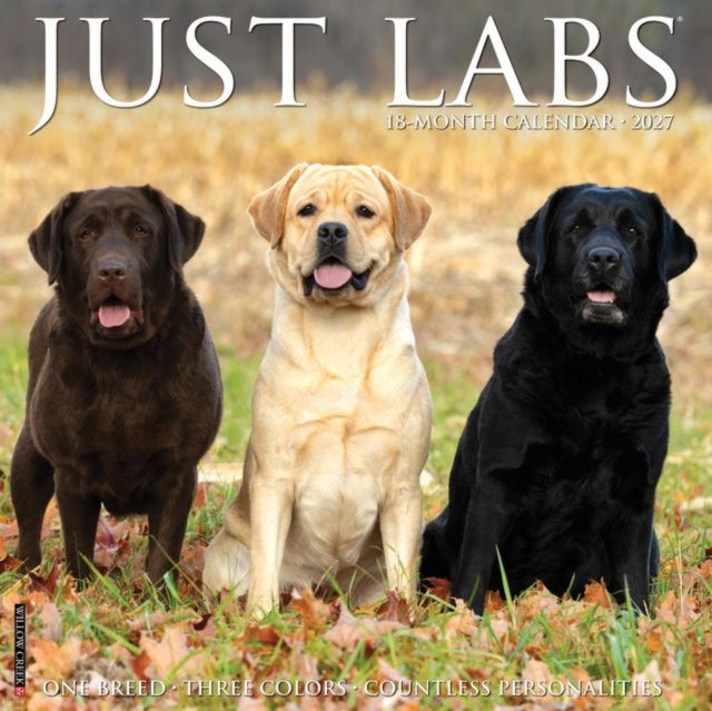 Labs 2027 Wall cover