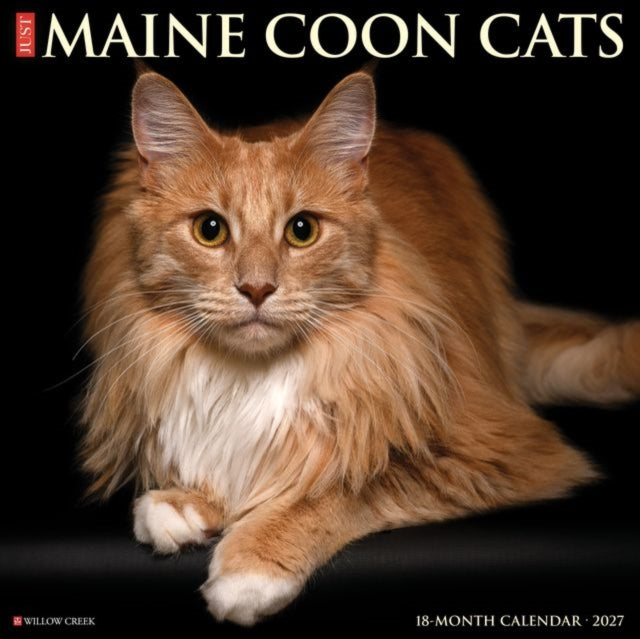 Maine Coon Cats 2027 Wall cover
