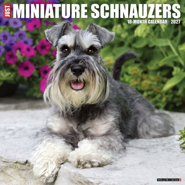 Miniature Schnauzers 2027 Wall cover