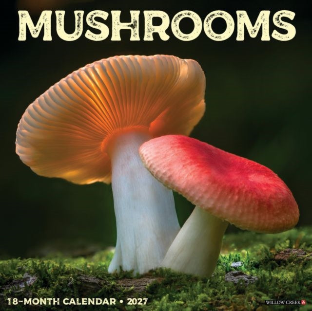 Mushrooms 2027 Wall cover
