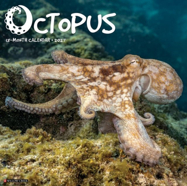 Octopus 2027 Wall cover