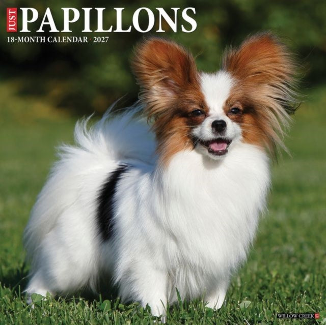 Papillons 2027 Wall cover