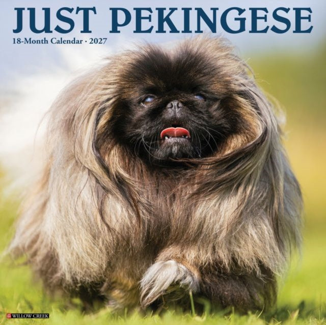 Pekingese 2027 Wall cover