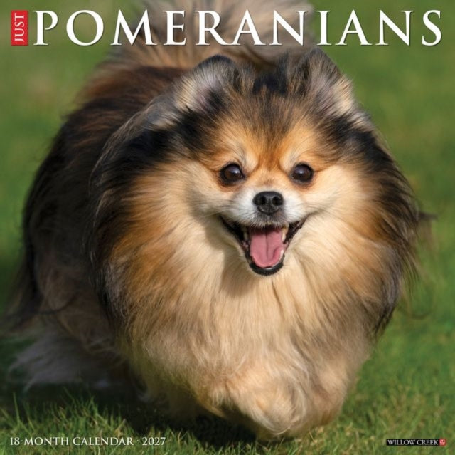Pomeranians 2027 Wall cover