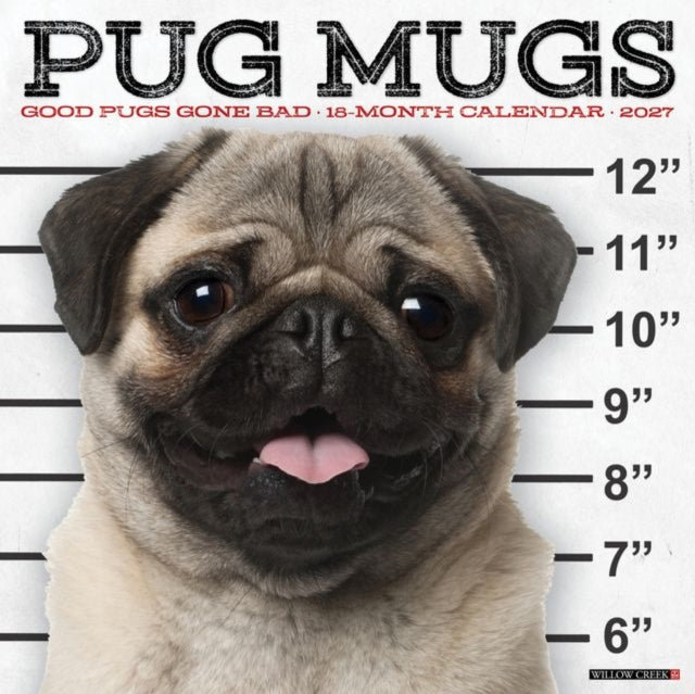 Pug Mugs 2027 Wall cover