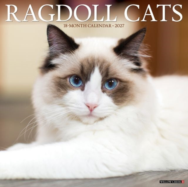 Ragdoll Cats 2027 Wall cover
