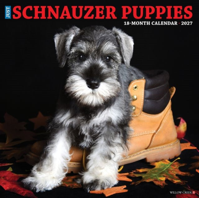 Schnauzer Puppies 2027 Wall cover