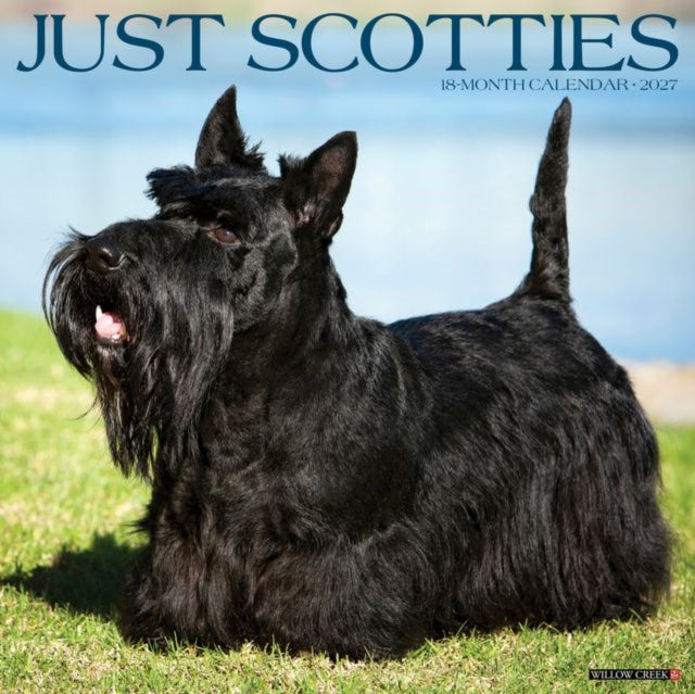 Scotties 2027 Wall cover