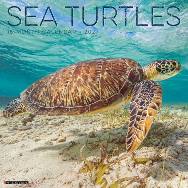 Sea Turtles 2027 Wall cover