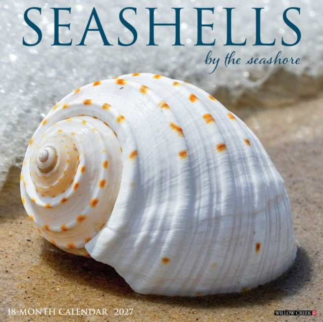 Seashells 2027 Wall cover