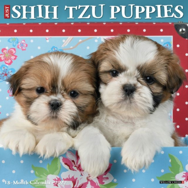 Shih Tzu Puppies 2027 Wall cover