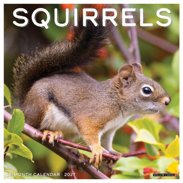 Squirrels 2027 Wall cover