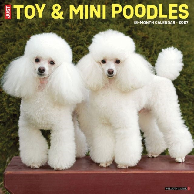 Toy & Miniature Poodles 2027 Wall cover