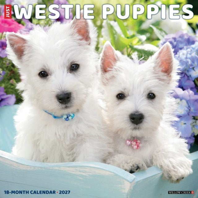 Westie Puppies 2027 Wall cover