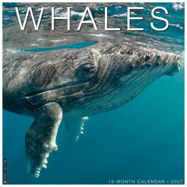 Whales 2027 Wall cover