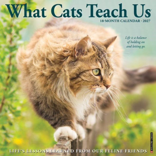 What Cats Teach Us 2027 Wall cover