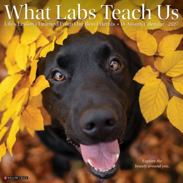 What Labs Teach Us 2027 Wall cover