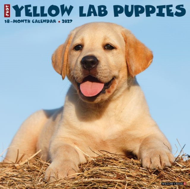 Yellow Lab Puppies 2027 Wall cover