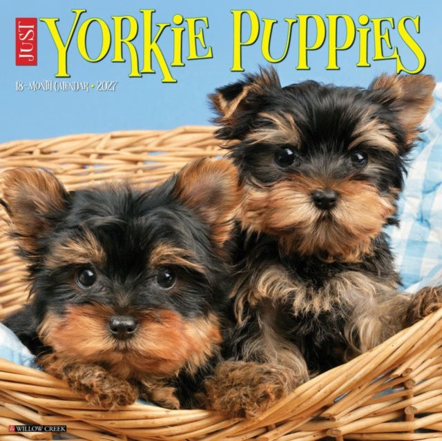 Yorkie Puppies 2027 Wall cover