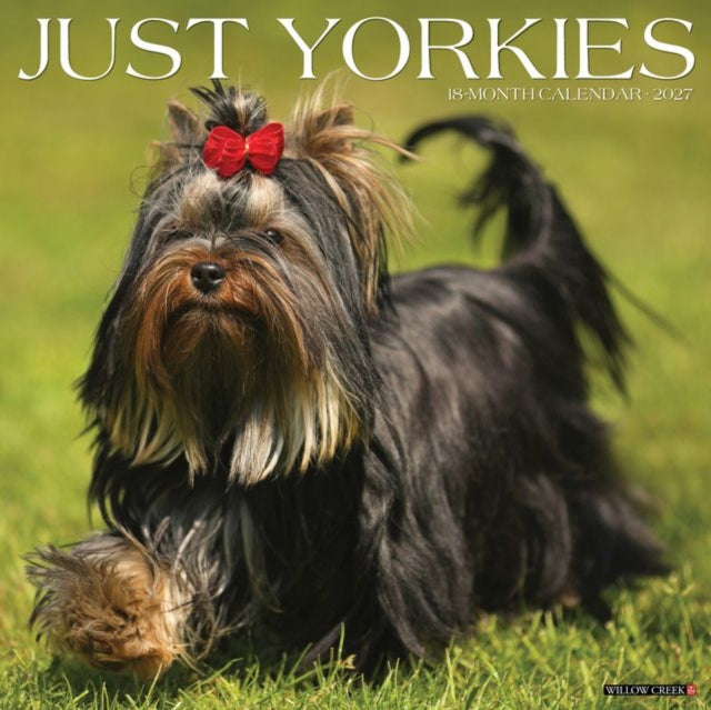Yorkies 2027 Wall cover