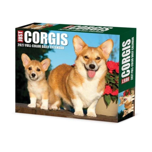 Corgis 2027 Box cover