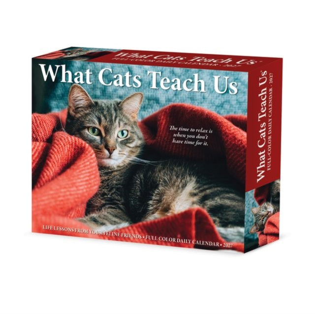 What Cats Teach Us 2027 Box cover