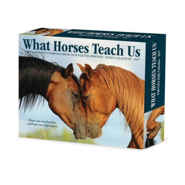 What Horses Teach Us 2027 Box cover