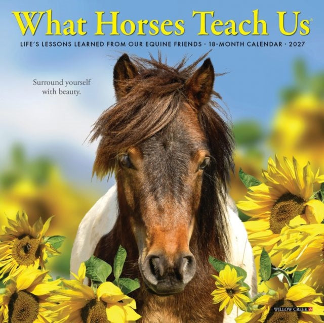 What Horses Teach Us 2027 Mini cover