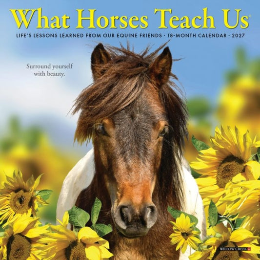 What Horses Teach Us 2027 Mini cover