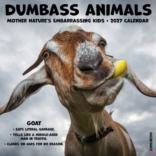 Dumbass Animals 2027 Wall cover