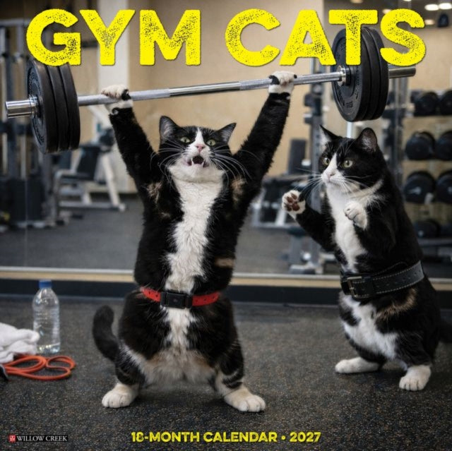 Gym Cats 2027 Wall cover