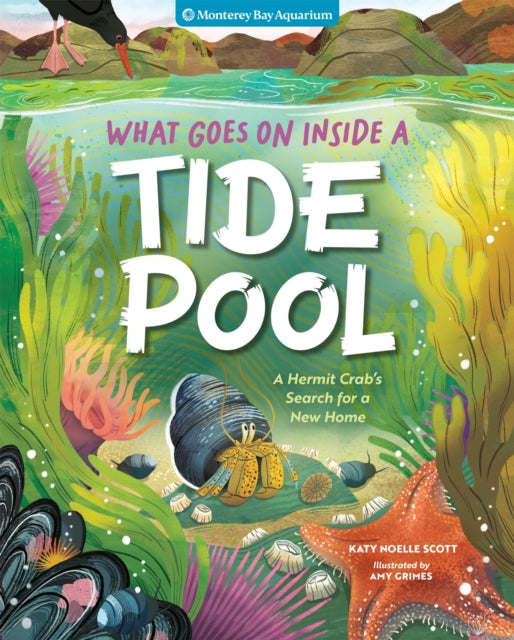 What Goes On Inside a Tide Pool cover