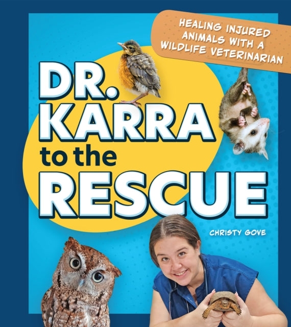 Dr. Karra to the Rescue cover