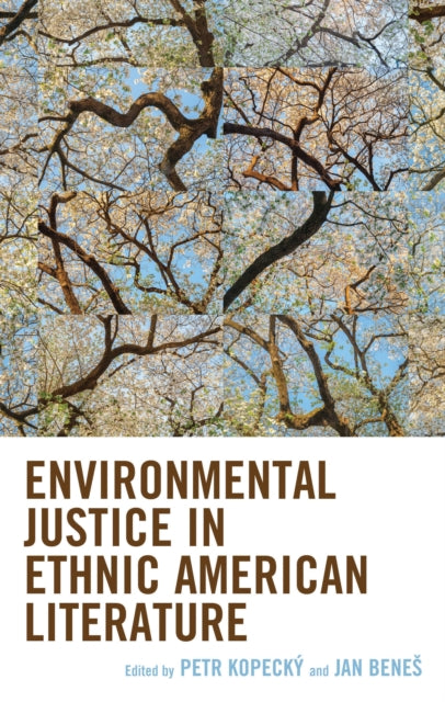 Environmental Justice in Ethnic American Literature cover