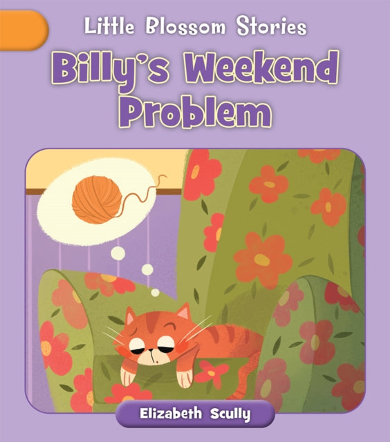Billy's Weekend Problem cover