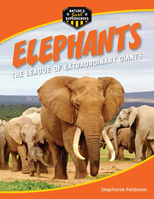 Elephants cover