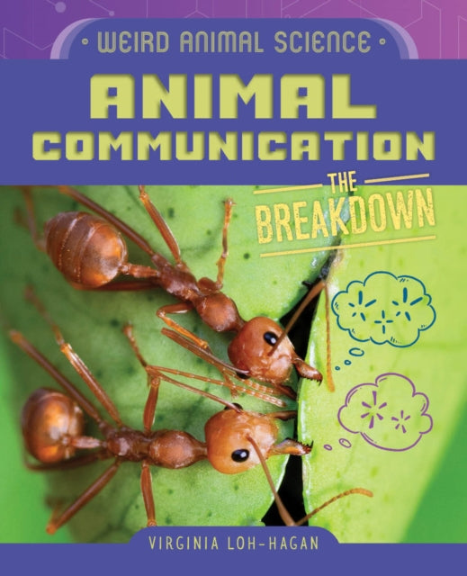 Animal Communication cover