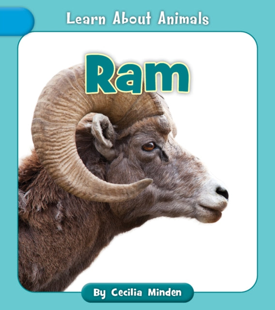 Ram cover
