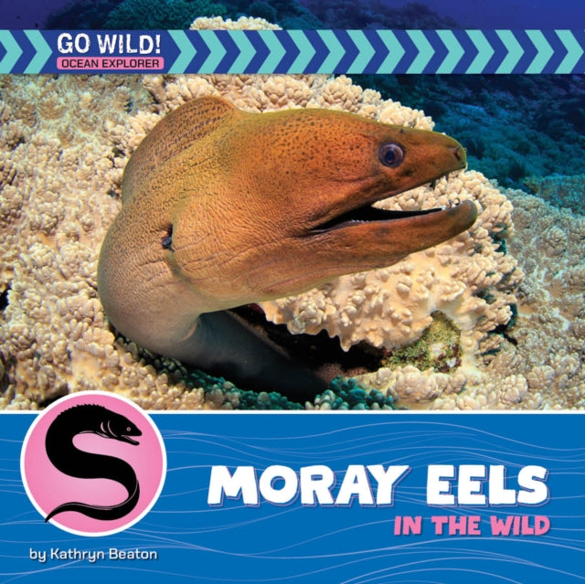 Moray Eels in the Wild cover