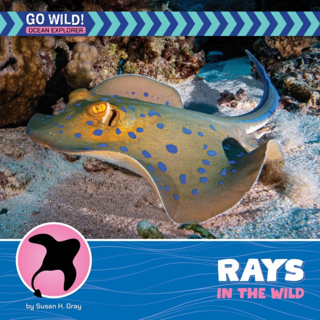 Rays in the Wild cover