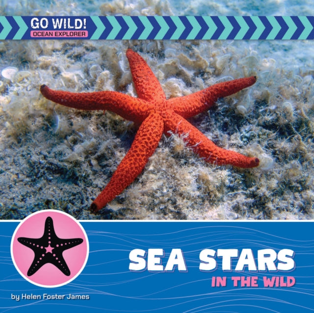 Sea Stars in the Wild cover