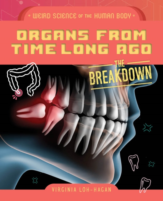 Organs from Time Long Ago cover